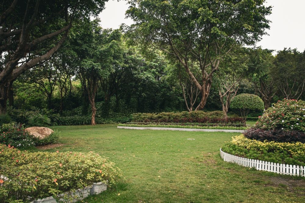 Garden beds and trees bordering a neatly cut lawn.