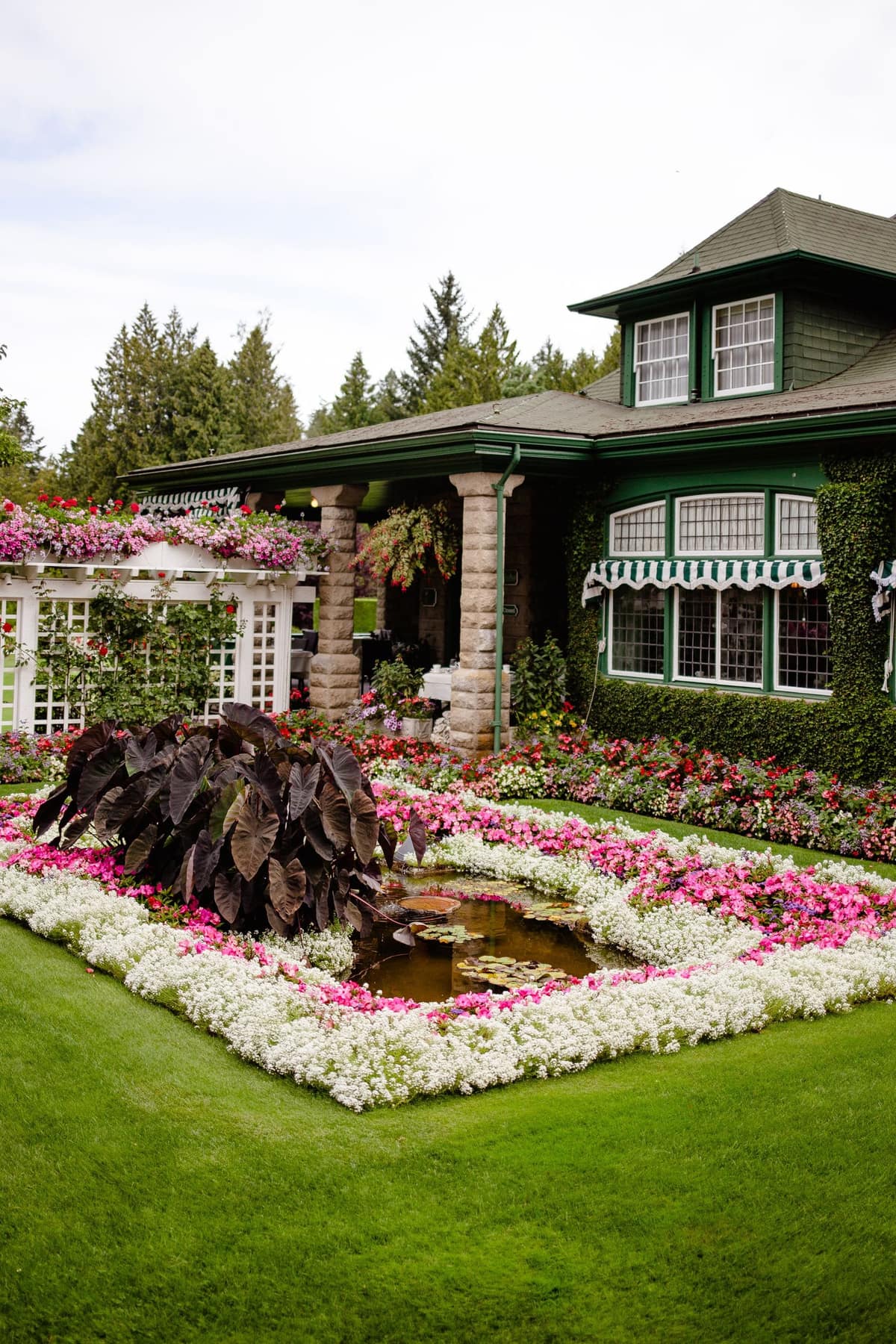A front garden with flower beds and a trimmed lawn in front of a green house.